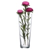 Pasabahce Flora Glass Vases