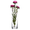 Pasabahce Flora Glass Vases