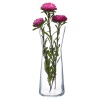 Pasabahce Flora Glass Vases