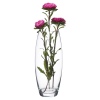 Pasabahce Flora Glass Vases
