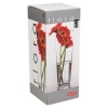 Pasabahce Flora Glass Vases