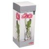 Pasabahce Flora Glass Vases