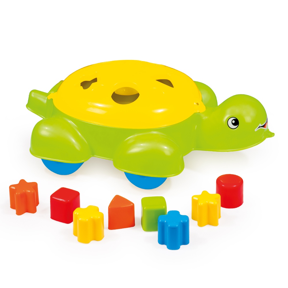 turtle shape sorter