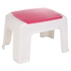 Step Stool [539737]