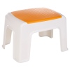 Step Stool [539737]