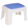 Step Stool [539737]