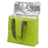 Foldable Coolerbag