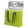 Foldable Coolerbag