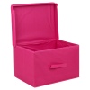 Foldable Storage Box w/Lid [905000]