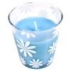 Citronella Scented Candle in Glass [535173]