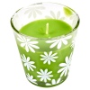 Citronella Scented Candle in Glass [535173]