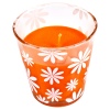 Citronella Scented Candle in Glass [535173]