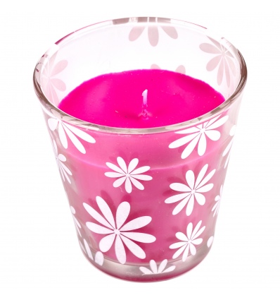 Citronella Scented Candle in Glass [535173]