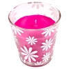 Citronella Scented Candle in Glass [535173]
