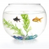 Fish Bowl w/Starter Kit [539584]