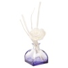 Air Freshener Perfume Deffuser 100ml [543963]