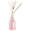 Air Freshener Perfume Deffuser 100ml [544021]