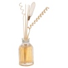 Air Freshener Perfume Deffuser 100ml [544021]