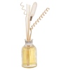 Air Freshener Perfume Deffuser 100ml [544021]
