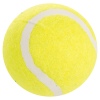 Tennis Set With Net 5 Piece [797625]