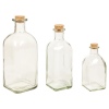 Glass Bottles With Cork Lid 