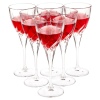 RCR 18.5cl TRIX Wine Glasses x6 [23947]