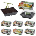 Mini Propagator Kits [326436]