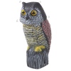 Large Owl With Moving Head [837210]