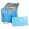 2pc Cooler Bag 7L w/Freezer Block [419947]