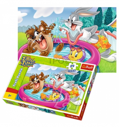 24 Maxi - Looney Tunes [142389]