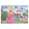 54 Mini - Princesses