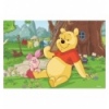 54 Mini - Winnie the Pooh