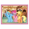 4in1 - Ponies holiday [341539]