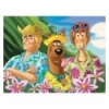 30 - Scooby-Doo on vacation [181975]