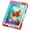 60 - Ariel and her friends [172836]