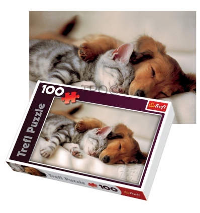 100 - Sleeping puppies [161380]