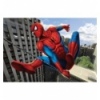 160 - Skycrapers climbing [152210]