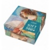 500 Gift - Angel musician [372151]