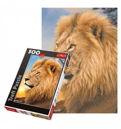 500 - Lion [371918]