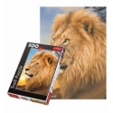 500 - Lion [371918]