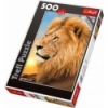 500 - Lion [371918]