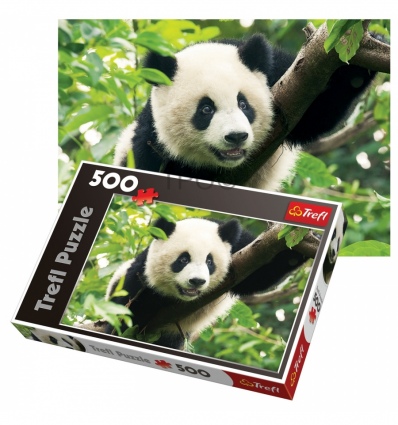 500 - Giant Panda [371420]