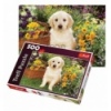 500 - Puppy labrador in the garden [371604]