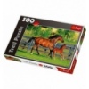 500 - Foal's first step [370959]