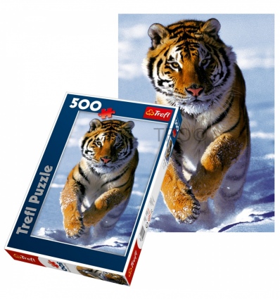 500 - Snow Tiger [370096]