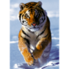 500 - Snow Tiger [370096]