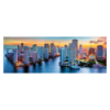 1000 Panorama - Miami after dark [290271]