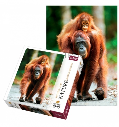 1000 Nature - Orangutan, Indonesia [105148]