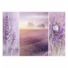 1000 Romantic - Lavender fields [104110]