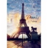 1000 - Paris at dawn [103946]